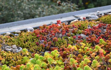 the cost of Causeway green roof installation