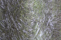 Causeway fibreglass roof work